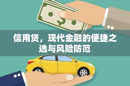通川信用贷，现代金融的便捷之选与风险防范