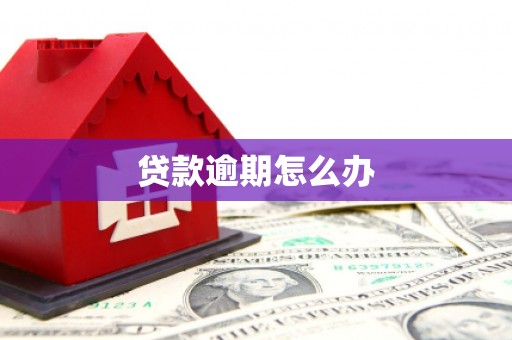 通川贷款逾期怎么办