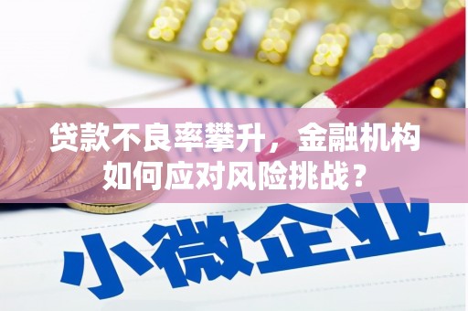 通川贷款不良率攀升，金融机构如何应对风险挑战？