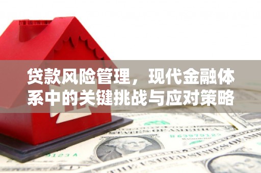 通川贷款风险管理，现代金融体系中的关键挑战与应对策略