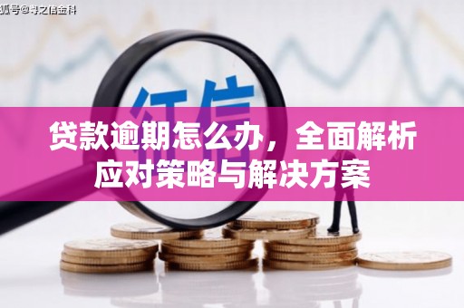 通川贷款逾期怎么办，全面解析应对策略与解决方案