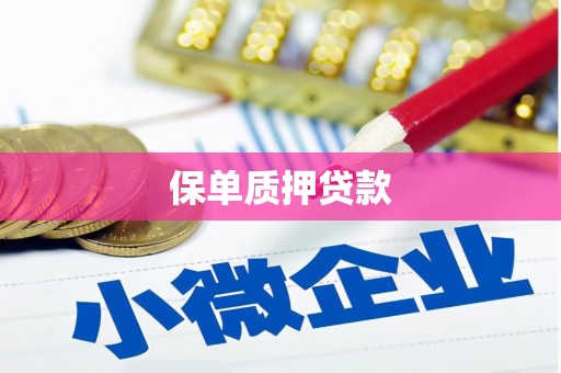通川保单质押贷款