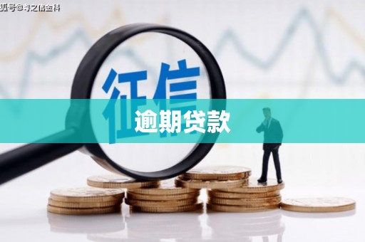 通川逾期贷款