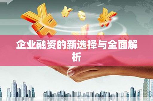 通川企业融资的新选择与全面解析