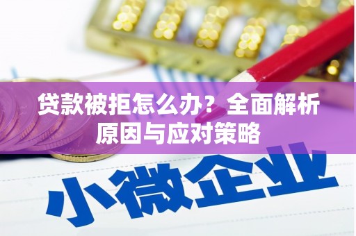 通川贷款被拒怎么办？全面解析原因与应对策略